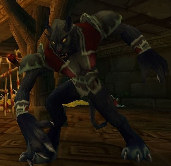 《魔兽世界》怀旧服哈卡莱先知掉落物品一览1