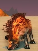 魔兽世界怀旧服疱爪土狼_魔兽世界 土狼