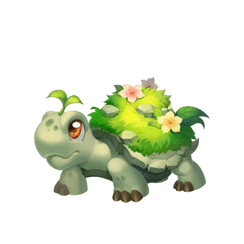 《梦幻西游》草龟在哪个地图2