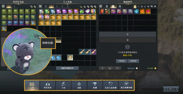 命运方舟宠物功能_命运方舟一万金币多少钱