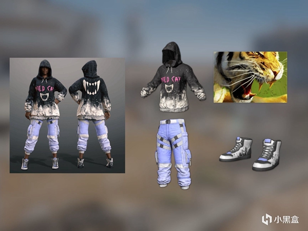 绝地求生虎年道具皮肤外观介绍1