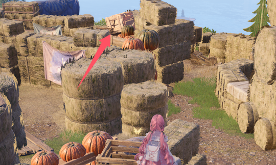 无限暖暖欢乐市集全收集43