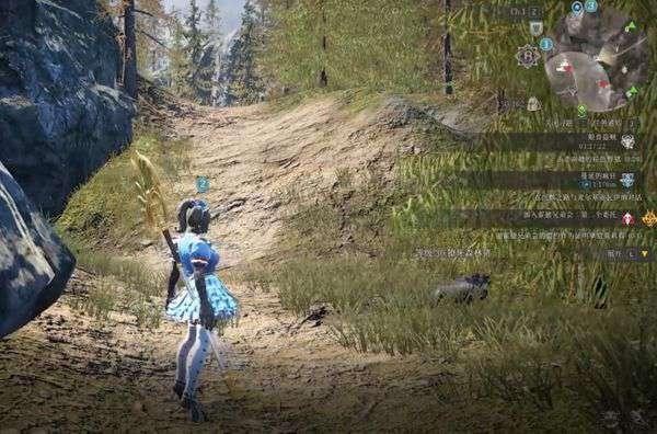 神佑释放野猪在哪里4