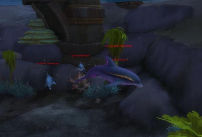 《魔兽世界》收藏向趣味物品挖掘5