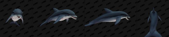 《魔兽世界》收藏向趣味物品挖掘6