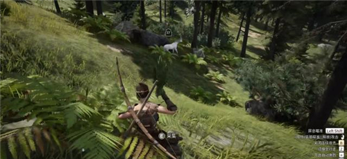 帝国神话怎么驯马1