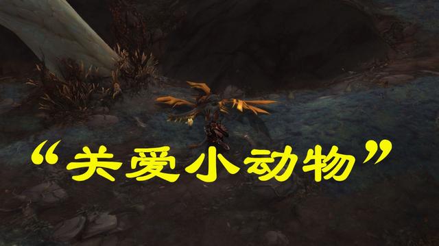 魔兽世界关爱小动物任务完成的方法是什么3