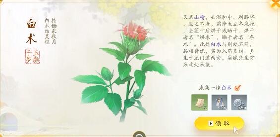 射雕快活林梦华录在哪11