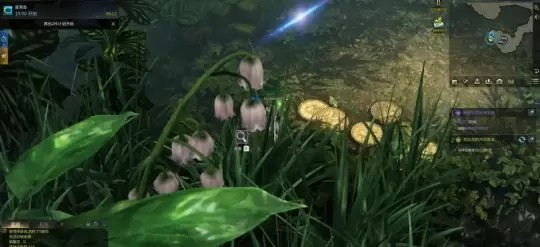 命运方舟摩可可的伟大的暗号隐藏剧情攻略3