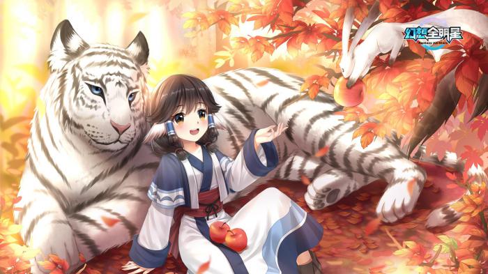 幻想全明星掉帧问题解决办法_幻想全明星掉帧问题解决办法是什么