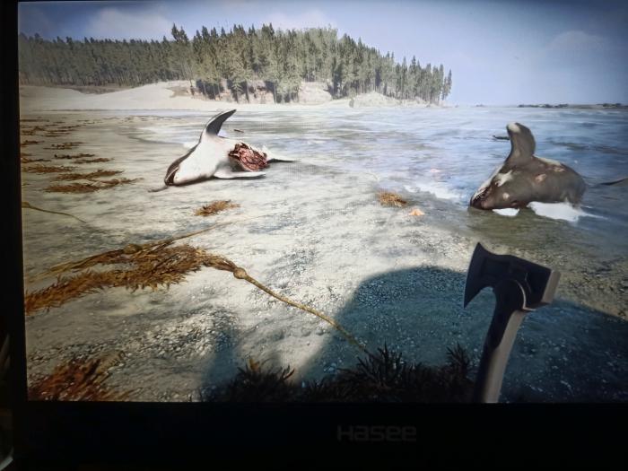 森林之子绳子在哪获得_森林之子在哪里买