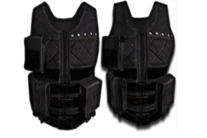 《绝地求生》二级防弹衣图鉴介绍1