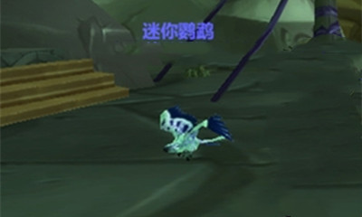 魔兽世界迷你鹦鹉_魔兽世界迷你鹦鹉有什么用