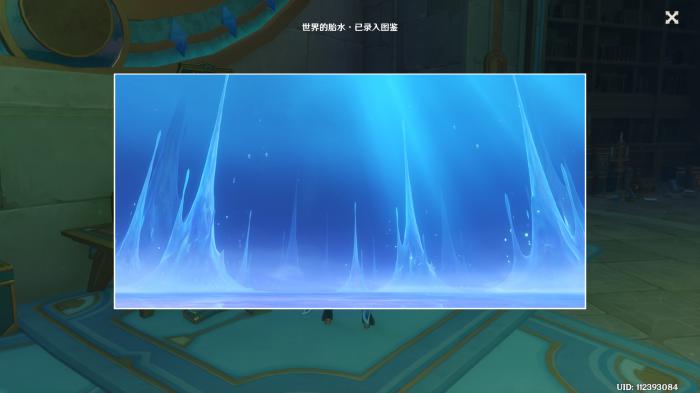 原神世界的胎水观景点位置介绍2