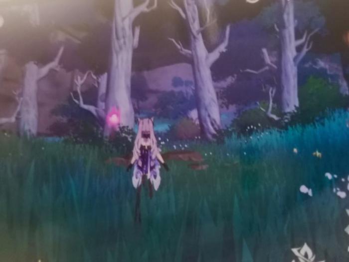 原神驱散雷雾洞口在哪里4