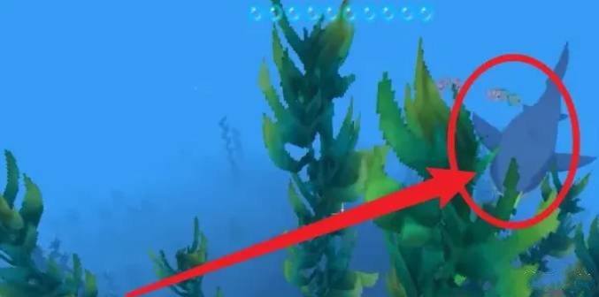 迷你世界鲨鱼怎么驯服3