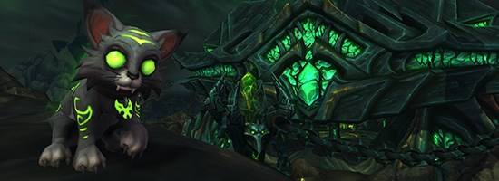 《魔兽世界》让我们在游戏中一起喵喵叫1