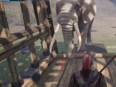 帝国神话大象怎么训1