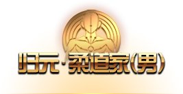 DNF归元柔道家技能_dnf柔道家怎么样