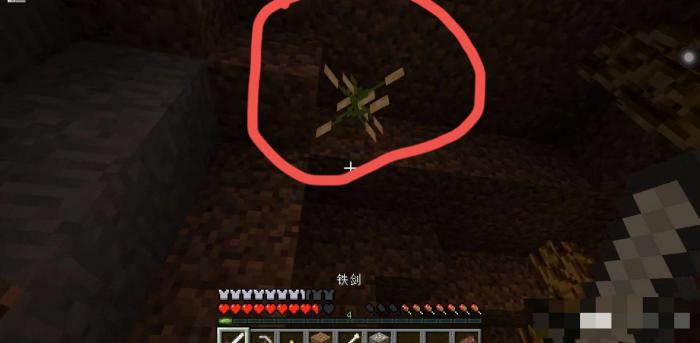 我的世界火炬浆果怎么获得1