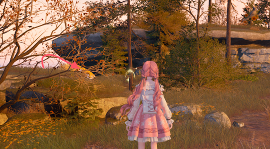 无限暖暖石之冠收集点2