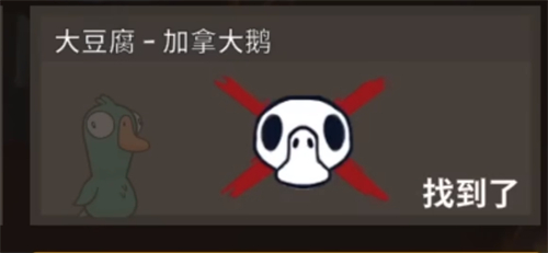 鹅鸭杀加拿大死了为什么没报警_加拿大鹅 鸭