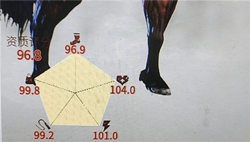 帝国神话入圣马_帝国 神话时代