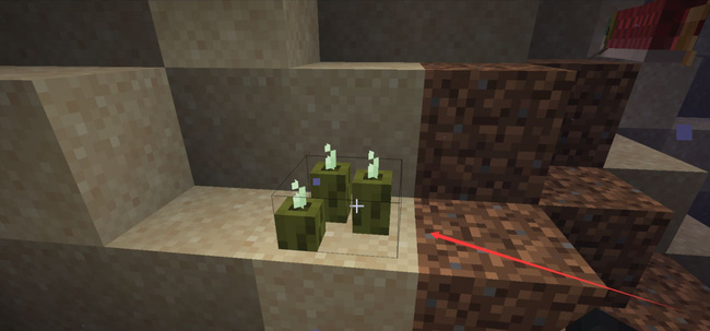 我的世界海泡菜怎么繁殖1