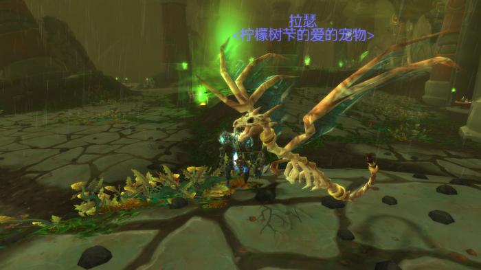 《魔兽世界》双翅妖龙抓取地点1