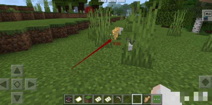 我的世界里面怎么寻找村庄3
