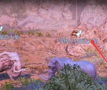 神佑释放坐骑抓捕攻略?4