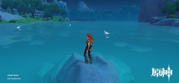 原神鸭子_原神鸭子怎么抓