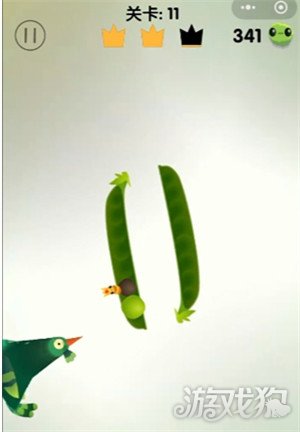 疯狂的鸽子第11关怎么过4