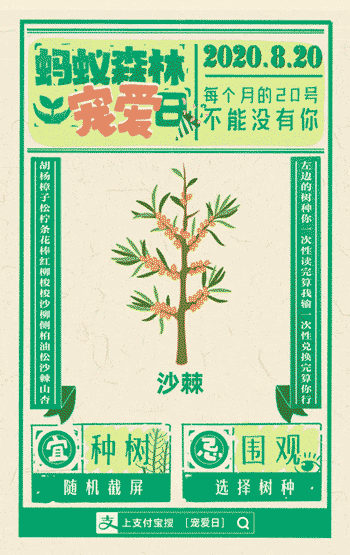 蚂蚁森林更新了哪些树1