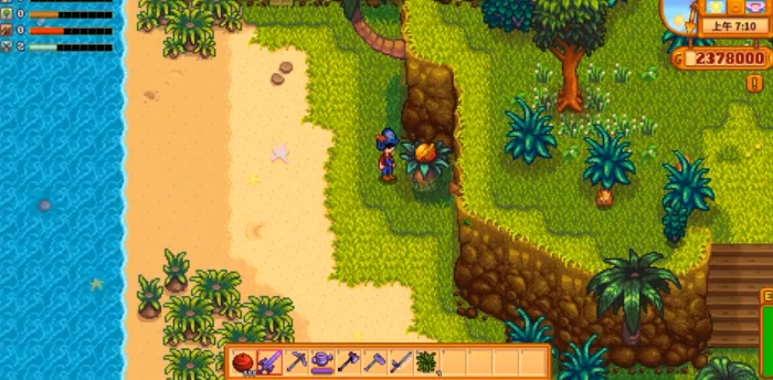 星露谷物语椰子怎么获取2