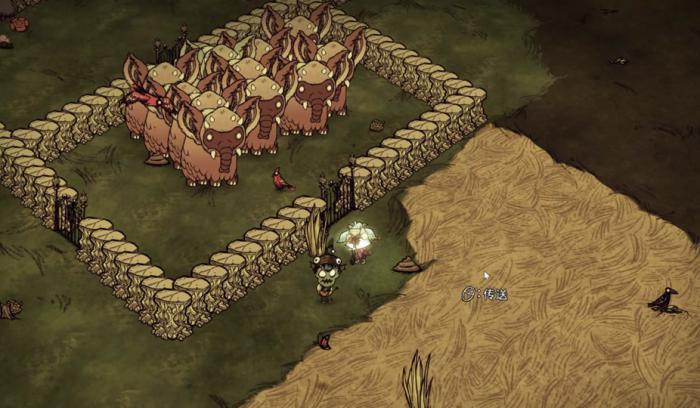 饥荒开脚印能开出什么2