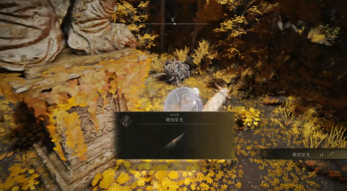 艾尔登法环魔力对蝎护符怎么获得2