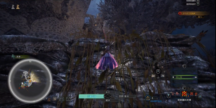 怪物猎人世界柔毛秧鸡在哪1