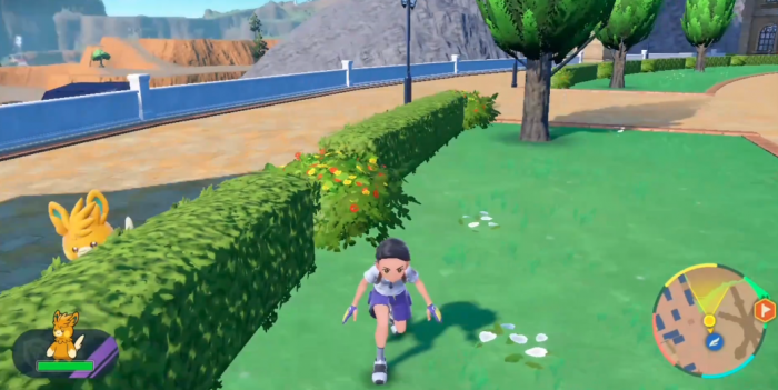 宝可梦朱紫布土拨哪里多3