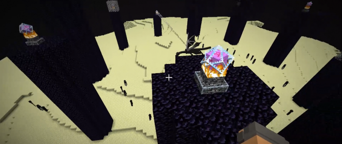 我的世界末影龙是什么2