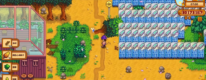 星露谷物语觅食技能萌新如何点1