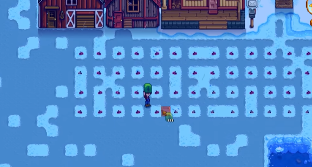 星露谷物语冬天怎么过1