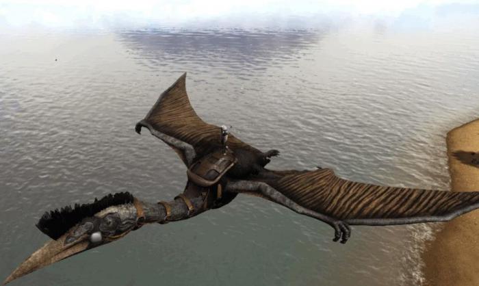 方舟生存进化风神翼龙怎么加点2