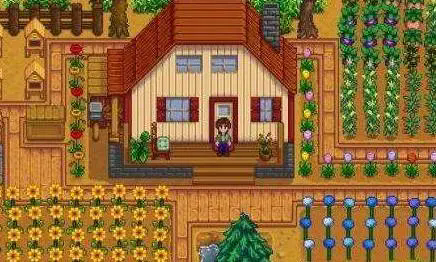 星露谷物语鸡舍的孵化器在哪2