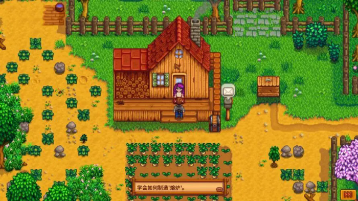 星露谷物语皮埃尔的秘密是什么3