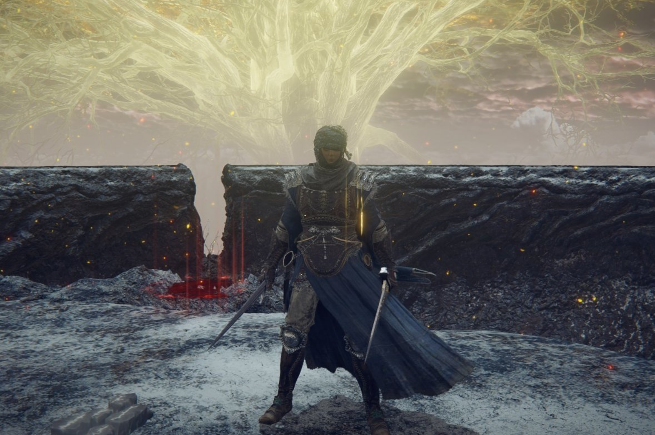 艾尔登法环职业魔法剑士怎么玩1