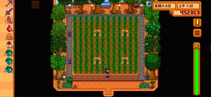 星露谷物语委托没完成会怎么样2