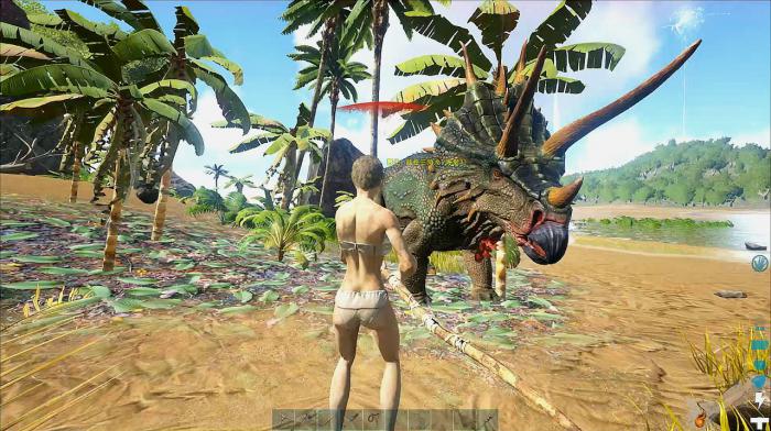 方舟生存进化单人生存怎么玩1