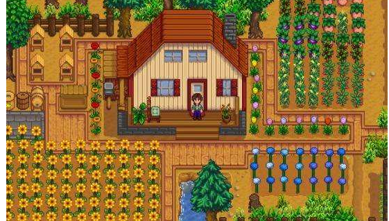 星露谷物语海丽家在哪里1