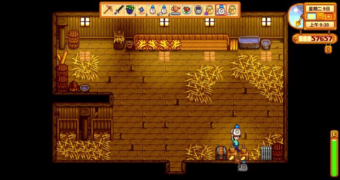 星露谷物语海丽家在哪里4